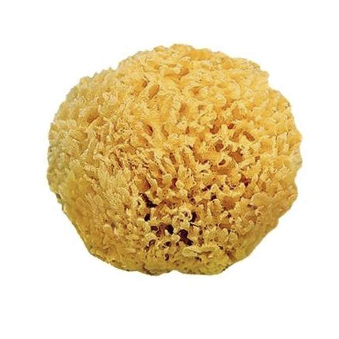 Esponja natural Saro